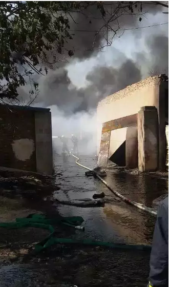 �����ֳ�