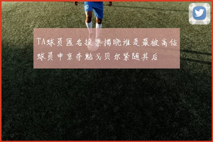 TA球员匿名投票揭晓谁是最被高估球员申京夺魁戈贝尔紧随其后